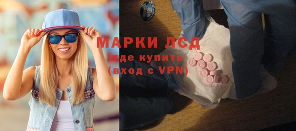 шишки Новодвинск