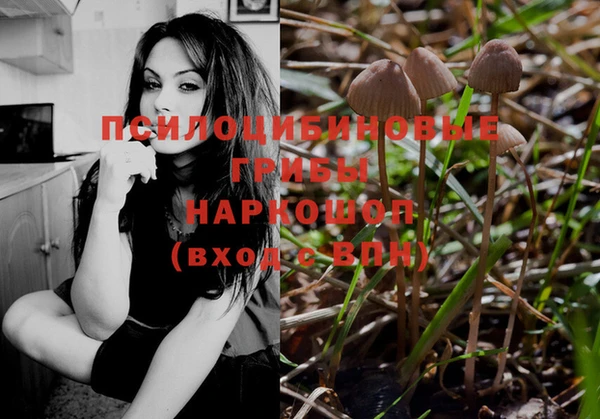 шишки Новодвинск