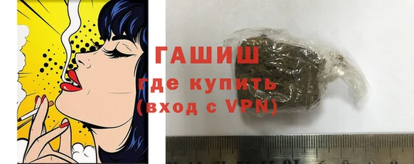 шишки Новодвинск