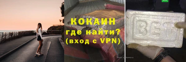 шишки Новодвинск