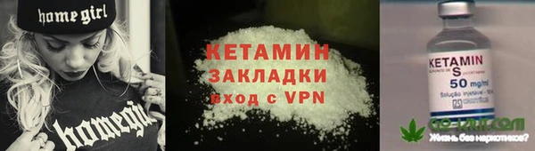 шишки Новодвинск