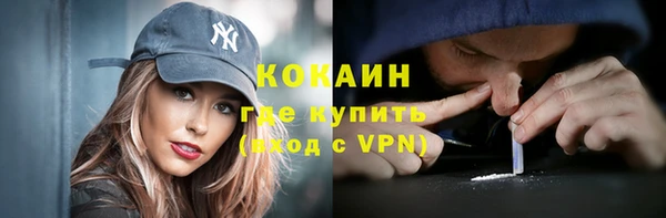 шишки Новодвинск