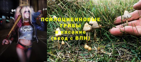 каннабис Новокубанск