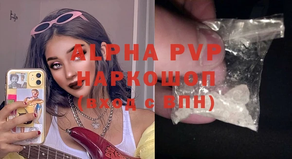 шишки Новодвинск