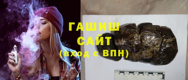 шишки Новодвинск